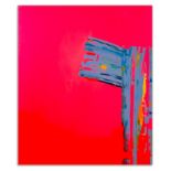 Jana Golnar - Pink Lady