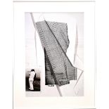 Rosemarie Trockel - White Origami