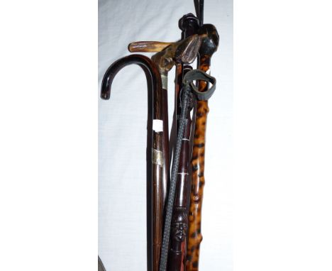A hoof handle walking stick; 2 African walking sticks, 2 others and a plaited riding crop