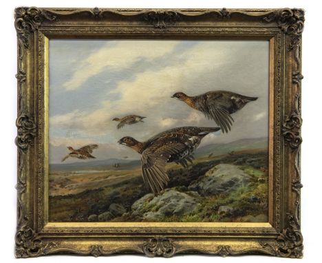 WILLIAM WOODHOUSE (BRITISH 1857 – 1939), GROUSE IN FLIGHT oil on canvas, signed 50cm x 60cm Framed Note: William Woohouse, a 