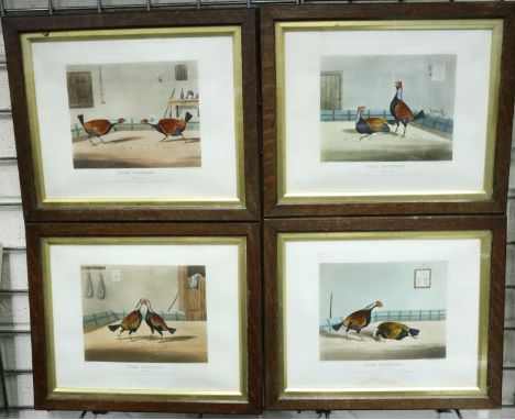 Cock Fighting: A set of four antiquarian engravings, published 1841 by R. Ackerman after Sutherland Harris each 24 x 31 cm, o