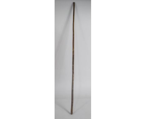 An Unusual and Tall Walking Stick With Scraffito Pokerwork Decoration, 141cm Long 