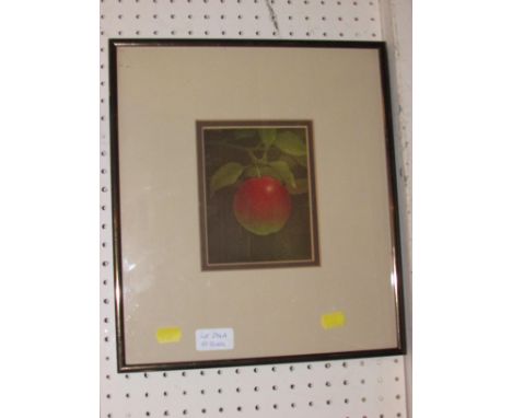 COLOUR PRINT OF APPLE ON BRANCH, FRAMED AND GLAZED, THE BACK MARKED NO 43/75 TERENCE MILLINGTON