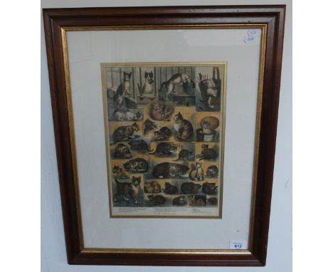 Louis Wain antique print of cats 