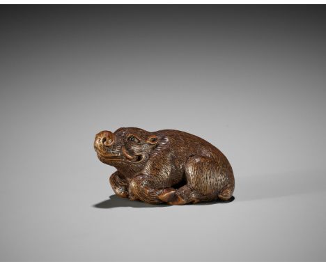 KOKEI: A FINE WOOD NETSUKE OF A RECUMBENT BOARBy Kokei, signed Kokei 虎溪Japan, Kuwana, Ise province, early 19th century, Edo p