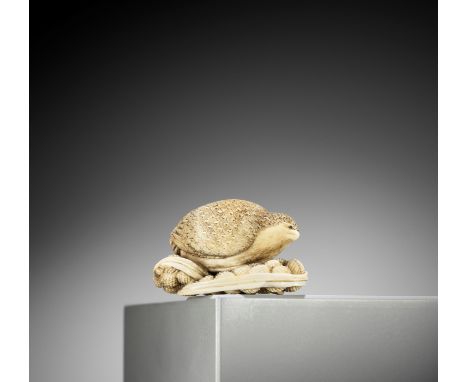 YOSHIKAZU: AN IVORY NETSUKE OF A QUIAL PERCHED ON MILLETBy Yoshikazu, signed Yoshikazu 良一Japan, Kyoto, early 19th century, Ed