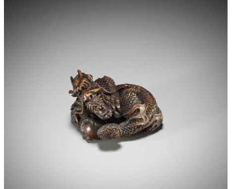 CHIKUZAN: A FINE WOOD NETSUKE OF A COILED DRAGONBy Chikuzan, signed Chikuzan 竹山Japan, Edo (Tokyo), 19th centuryFinely carved 