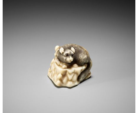 A RARE KYOTO SCHOOL NARWHAL TUSK NETSUKE OF A WEASEL ON A ROCKUnsignedJapan, Kyoto, late 18th – early 19th century, Edo perio