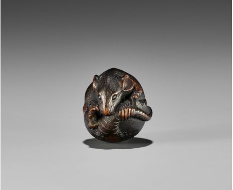 MASANAO: A FINE WOOD NETSUKE OF A COILED RATBy Masanao, signed Masanao 正直Japan, Ise-Yamada, 19th century, Edo period (1615-18