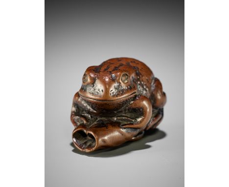 SHUCHIKU: A SUPERB WOOD NETSUKE OF A FAT TOAD ON LOTUS LEAFBy Shuchiku (Akitake), signed Shuchiku 秋竹Japan, Iwami province, c.