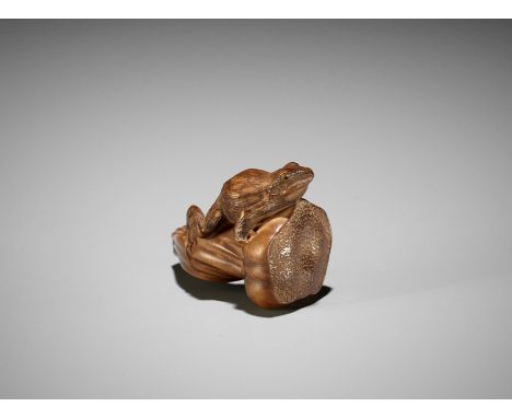 RYOSAI: A SUPERB WOOD OF A FROG ON A LOTUS PODBy Eguro Ryosai, signed Ryosai 良齋to 刀Japan, Takayama, Hida province, late 19th 