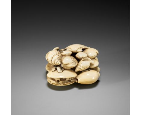 A FINE IVORY NETSUKE OF A MYRIAD OF SHELLSUnsignedJapan, early 19th century, Edo period (1615-1868)A densely carved group of 