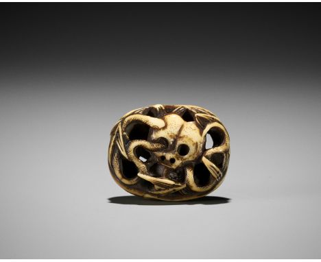 A RARE WALRUS TUSK RYUSA MANJU NETSUKE OF A SNAKE AND SKULLUnsignedJapan, Tokyo, Asakusa district, late 19th centuryCarved in