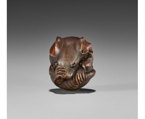 MASANAO: A FINE WOOD NETSUKE OF A COILED RATBy Masanao, signed Masanao 正直Japan, Ise-Yamada, 19th century, Edo period (1615-18