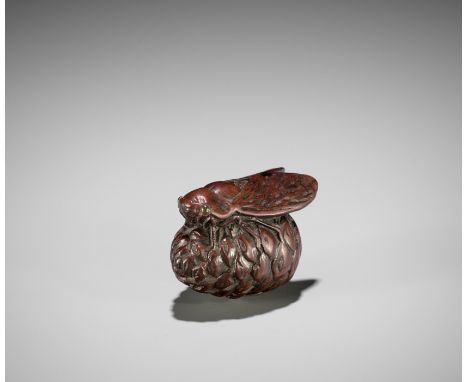 MINKO: A RARE WOOD NETSUKE OF A CICADA ON PINECONEBy Konan Minko, signed Minko 眠虎Japan, Tsu, early 19th century, Edo period (