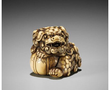 HIDECHIKA: A POWERFUL IVORY NETSUKE OF A ROARING SHISHI WITH BALLBy Hidechika, signed Hidechika 秀親Japan, Osaka, early 19th ce