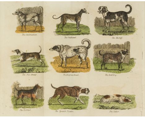 NO RESERVE Dogs.- Complete Dog Fancier (The), or General History of Dogs..., ?first edition, folding hand-coloured engraved f