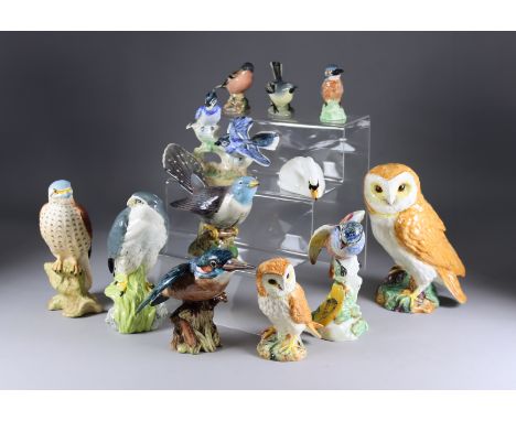 Eleven Beswick Bird Models, including - barn owl, model no. 1046, 7.5ins high, kingfisher, model no. 2371, 4.75ins high, and 