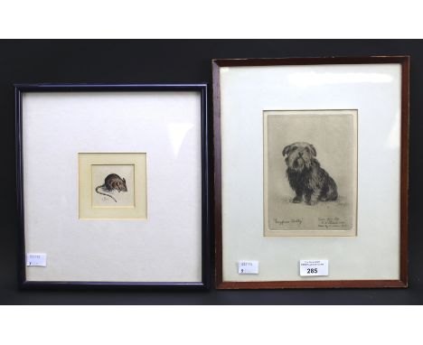 A 20th century engraving of a dog and a coloured print of a mouse. The former marked 'Painted from life R. W. Macbeth, 1868, 
