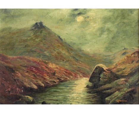 R. Beamish - 20th Century Scottish School"A Moonlit Mountain River Scene with Birds," O.O.C., approx. 26cms x 36cms (10" x 14