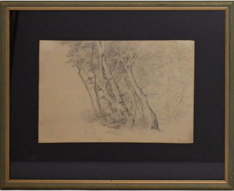 Eymer, Anton Julius (1834 Frankfurt/Main 1917) Baumgruppe. Bleistift/Papier (gebräunt), re. u. sign. Blattmaß 23,5x 35,5 cm. 