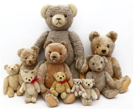 10 div. Teddybären. Heller Mohair. Dabei Eduard Crämer und Steiff (3x K und F). H. 13 bis 60 cm.