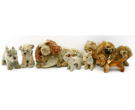 8 Hunde, Steiff. Verschiedene Ausführungen. Teils mit K, F und S. Von wenig bis stark bespielt. 50er/60er Jahre. H. ca. 8 bis