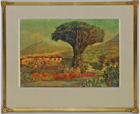 Landmann, Rudolf (Berliner Maler, 20./21. Jh.) "El Drago milenario", so bez. Aquarell/Papier, li. u. sign. und dat. 1966 mit 