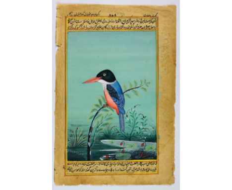 Persian miniature. Kingfisher on a branch. Gouaches on paper.Late 19th centurySheet of 235x155 mm. Image 208x122mm. Above and