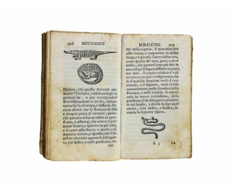 BORGHESI, Giovanni. Lettera scritta da Pondisceri a' 10 di febbraio 1704... nella quale si contengono, oltre a un pieno racco