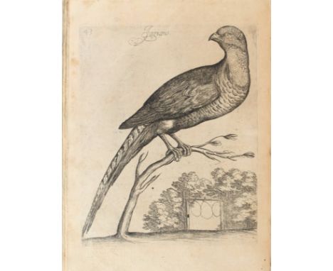OLINA, Giovanni Pietro. Uccelliera overo discorso della natura, e proprieta di diversi uccelli e in particolare di que che ca