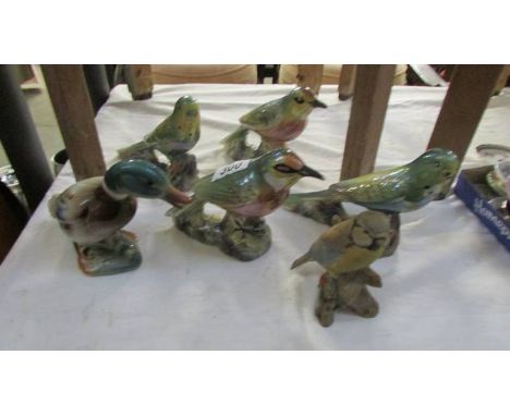 A collection of vintage ceramic birds including KSP Budgerigar, KSP Beefeater duck etc.,
