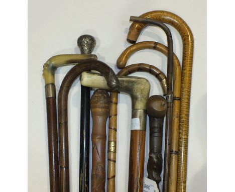 An Asian hardwood knobbly walking stick entwined with snakes, 92cm long, a silver-mounted walking cane and eight others, (10)