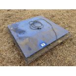 Platform weigher with Cardinal 190 Storm digital weight indicator