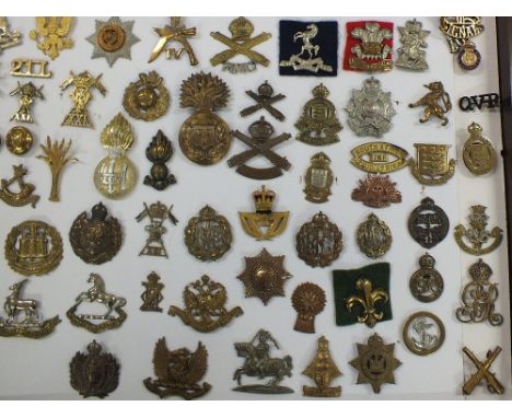 A magnificent collection of mainly British military badges and insignia including many rare examples, housed within a custom 