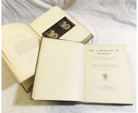 ALBERT ALEXANDER GRAY: THE LABYRINTH OF ANIMALS, L, J & A Churchill, 1907-1908, 1st edn, 2 vols, 86 mntd stereoscopic gelatin