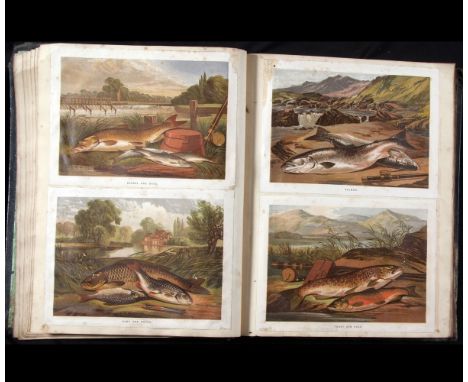 Large Victorian Album containing over 100 dbl sided leaves of assorted scraps, engravings, col'd prints of various subject, a