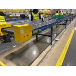 Beereport Motorised Belt Conveyor