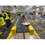 Beereport Motorised Belt Conveyor