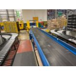 Beereport Motorised Belt Conveyor