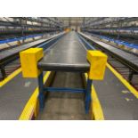 Beereport Motorised Belt Conveyor
