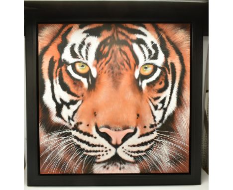 JEN ALLEN (BRITISH 1979) 'AMBER FIRE', a portrait of a Tiger, signed bottom right, titled verso, oil on canvas, approximate s