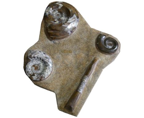 A prehistoric fossil plaque, set with ammonites, length approx 86cmGood condition 