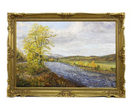 * HOWARD BUTTERWORTH (SCOTTISH b. 1945),THE RIVER DEE (ROYAL DEESIDE)oil on canvas, signedimage size 60cm x 90cm, overall siz