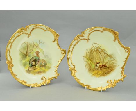 A PAIR OF ROYAL WORCESTER AYSMMETRICAL PLATES DECORATED WITH PARTRIDGES AND TURKEYS, moulded gilt rims, pale yellow ground, p
