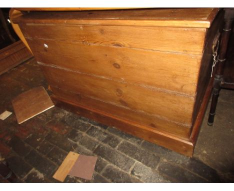 Large stripped and polished pine trunk