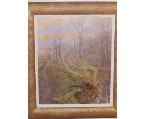 Maurice Sheppard - oil on canvas board - 'Falling Light, Mill Wood, Haverfordwest', 11,5" x 9.5" and a watercolour - 'Willow 