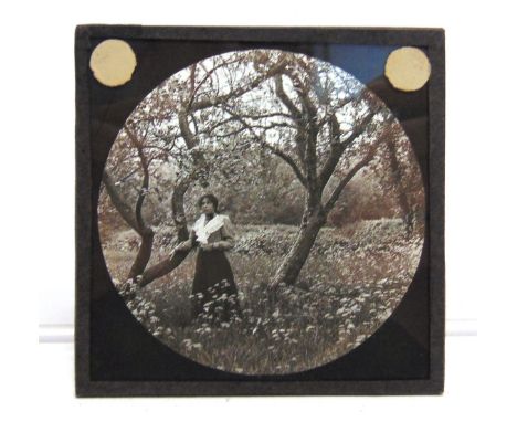 ASSORTED MAGIC LANTERN SLIDES  comprising British topographical, portrait, nature study and other subjects, (approximately 64