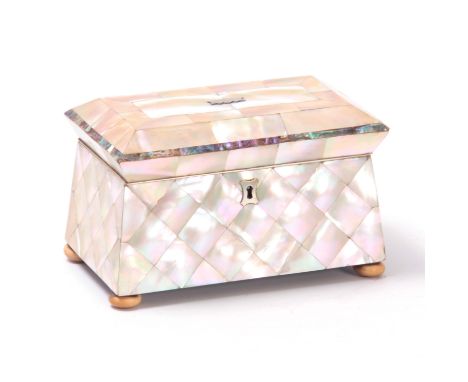AN EARLY 19TH CENTURY MOTHER OF PEARL SARCOPHAGUS SHAPED TEA CADDY with hinged lid revealing two lidded compartments; raised 