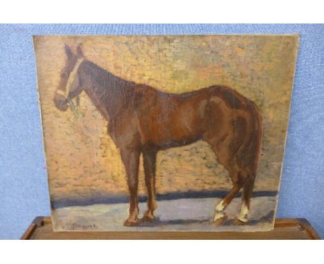 V. Eugelrecht, portrait of a stallion, oil on canvas laid to board, unframed